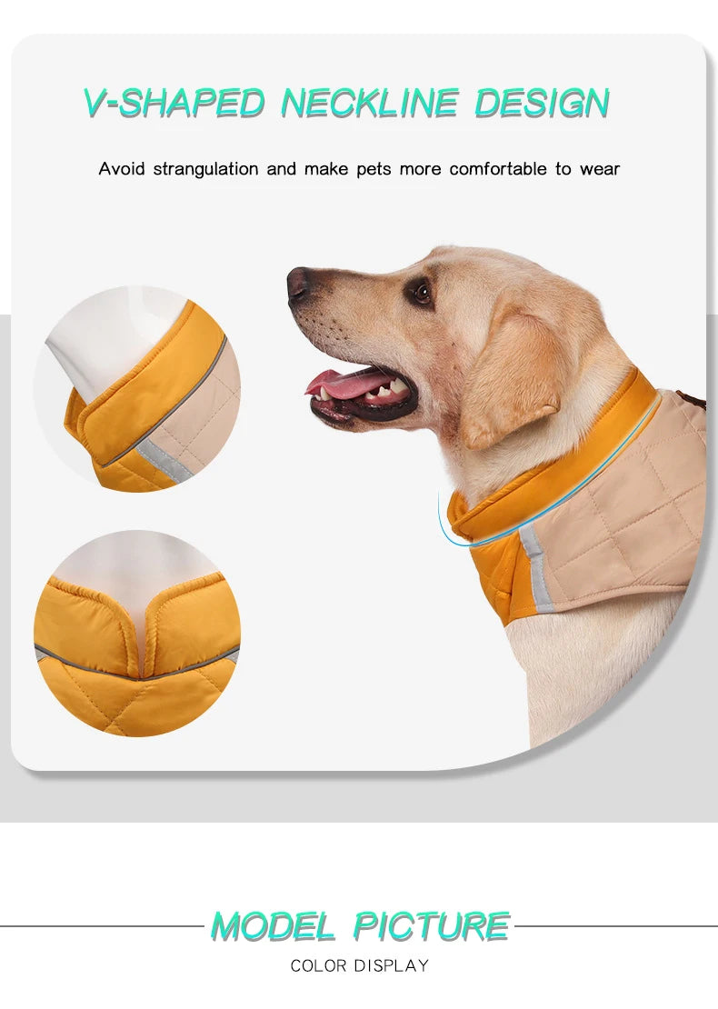 Dog wearing a yellow and white V-shaped neck design product with text on a white background