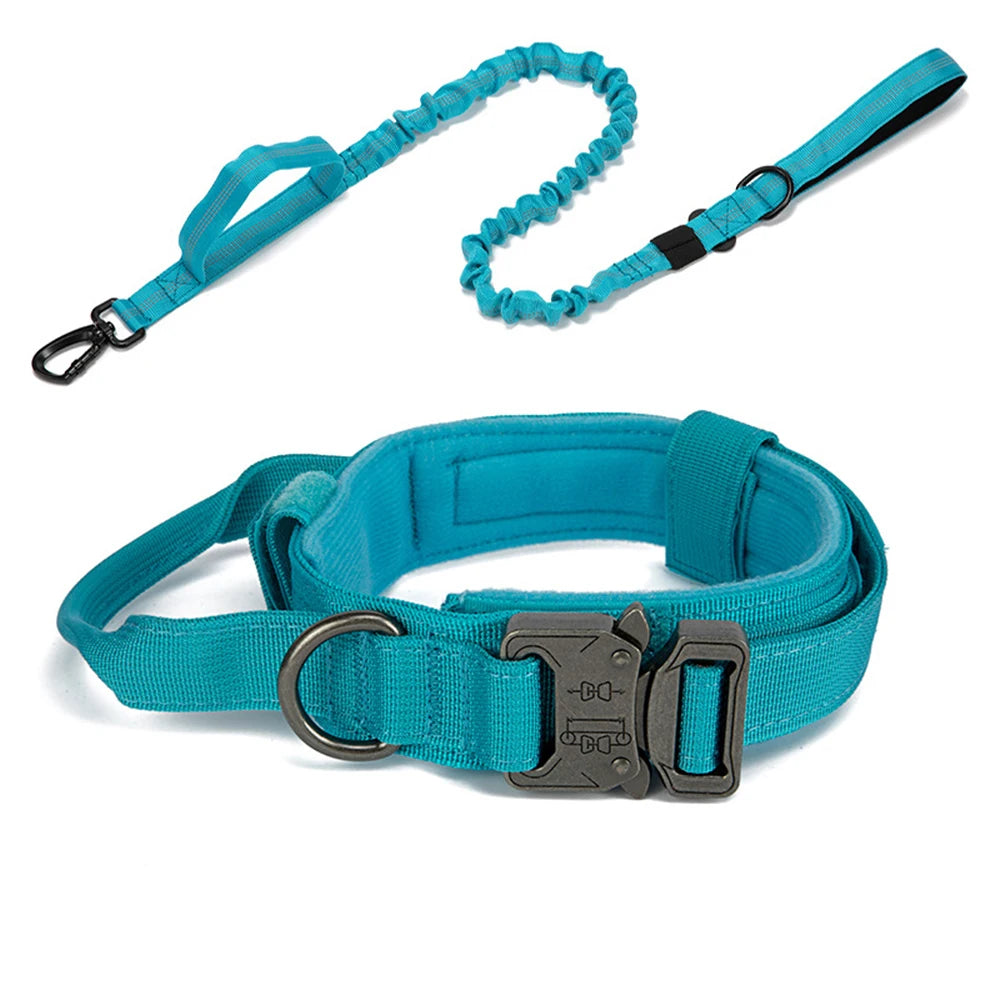 Teal dog collar and leash set on a white background