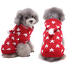 Small dog wearing a red sweater with white star patterns on a white background