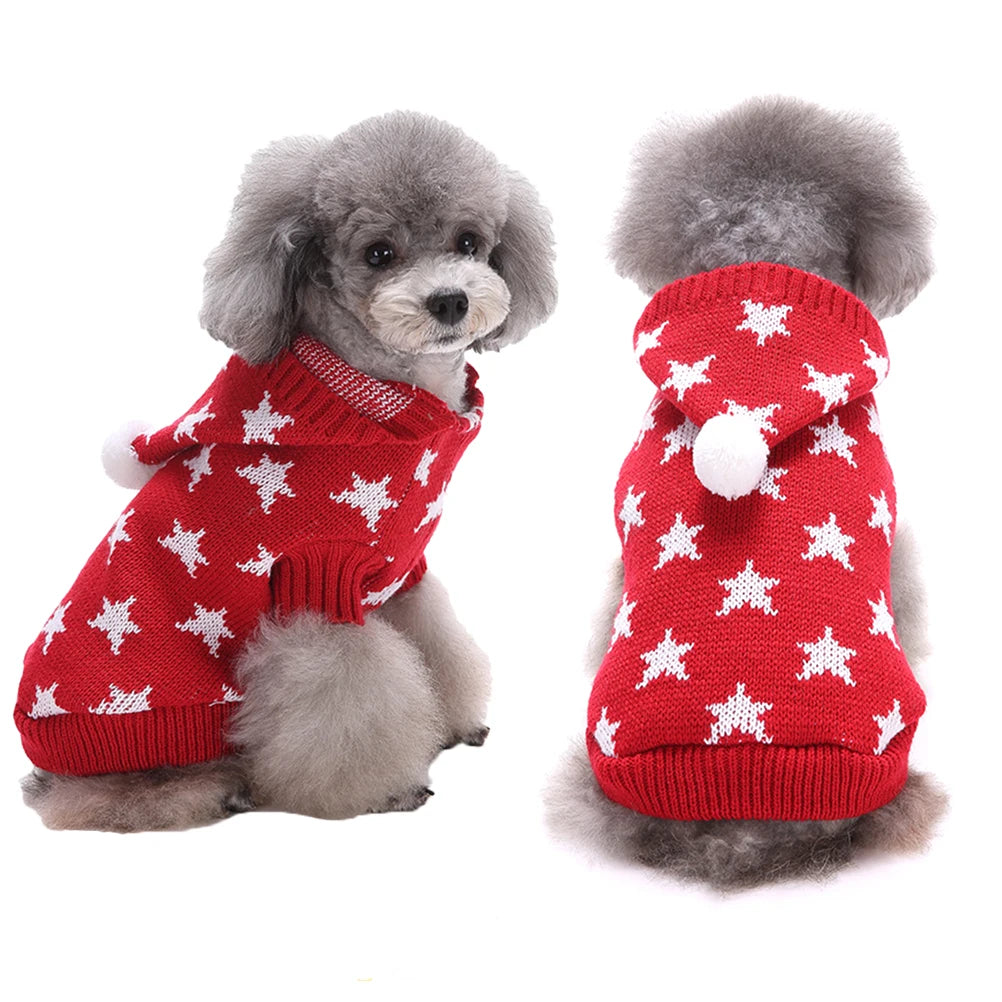 Small dog wearing a red sweater with white star patterns on a white background