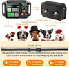 Dog training collar with labeled parts and features, including dogs wearing accessories.