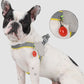 Harnesses | Reflective No-Pull Dog & Cat Harness for Small & Medium Pets