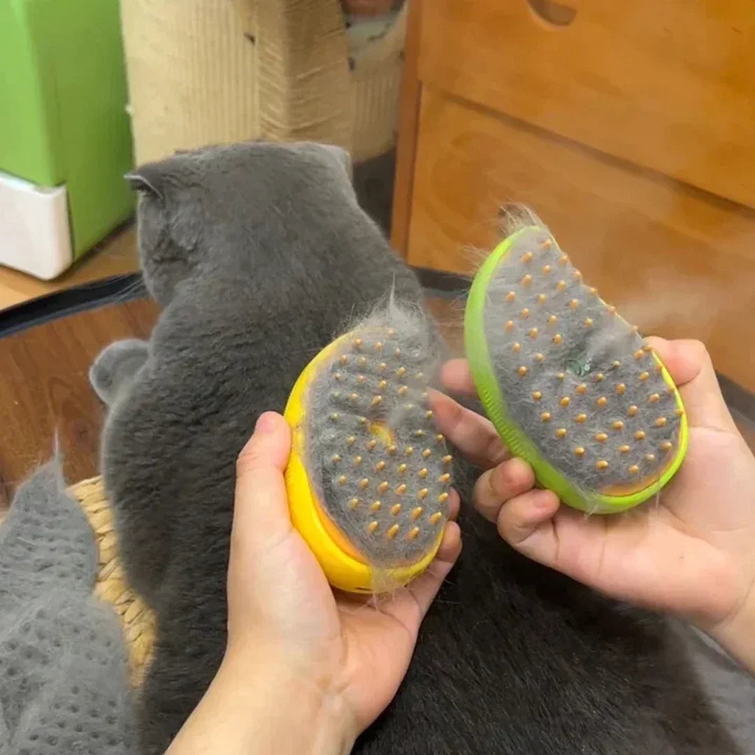 Person holding two grooming tools with pet hair on them, next to a gray cat.
