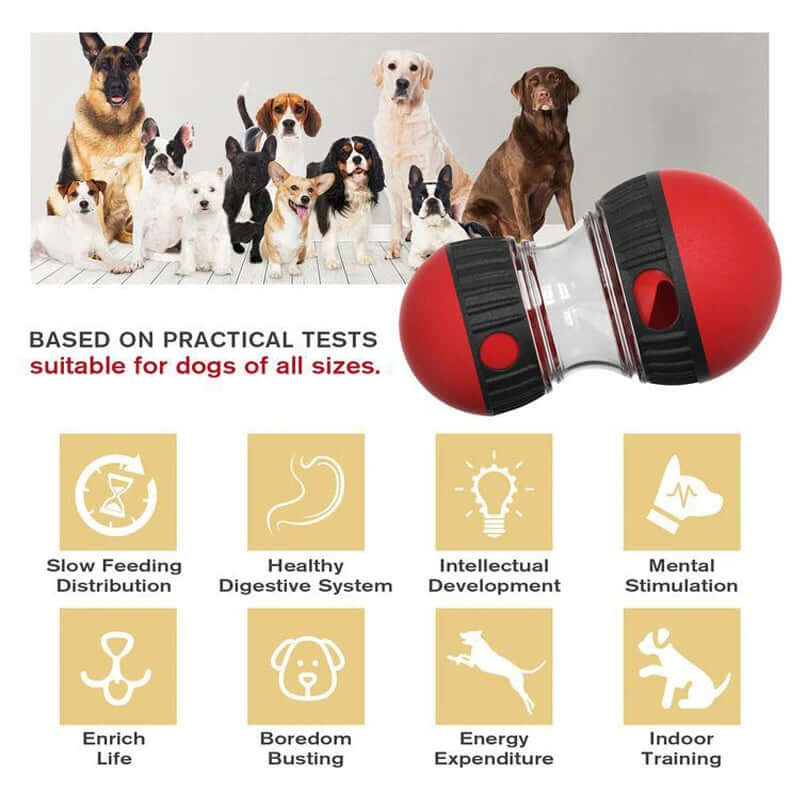 Dog toy with text and icons indicating benefits for dogs, surrounded by images of various dogs.