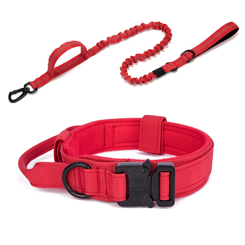 Red dog collar and leash set on a white background
