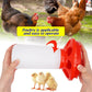Red poultry feeder with text overlay and images of chickens and chicks.