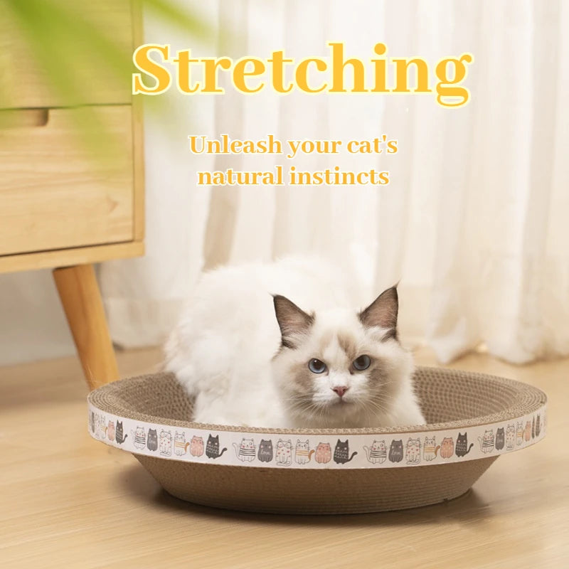 Cat sitting on a round cat bed with 'Stretching' text above
