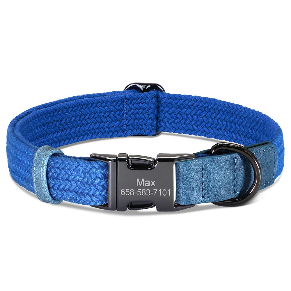 Blue dog collar with a black metal buckle on a white background