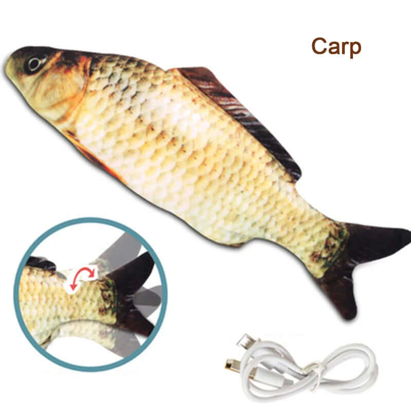 Fish-shaped toy with a power cord labeled 'Carp' on a white background