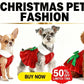 Three dogs in Christmas-themed outfits with a Christmas tree and decorations on a white background.