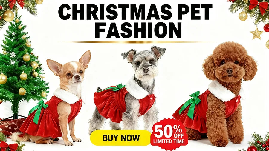 Three dogs in Christmas-themed outfits with a Christmas tree and decorations on a white background.