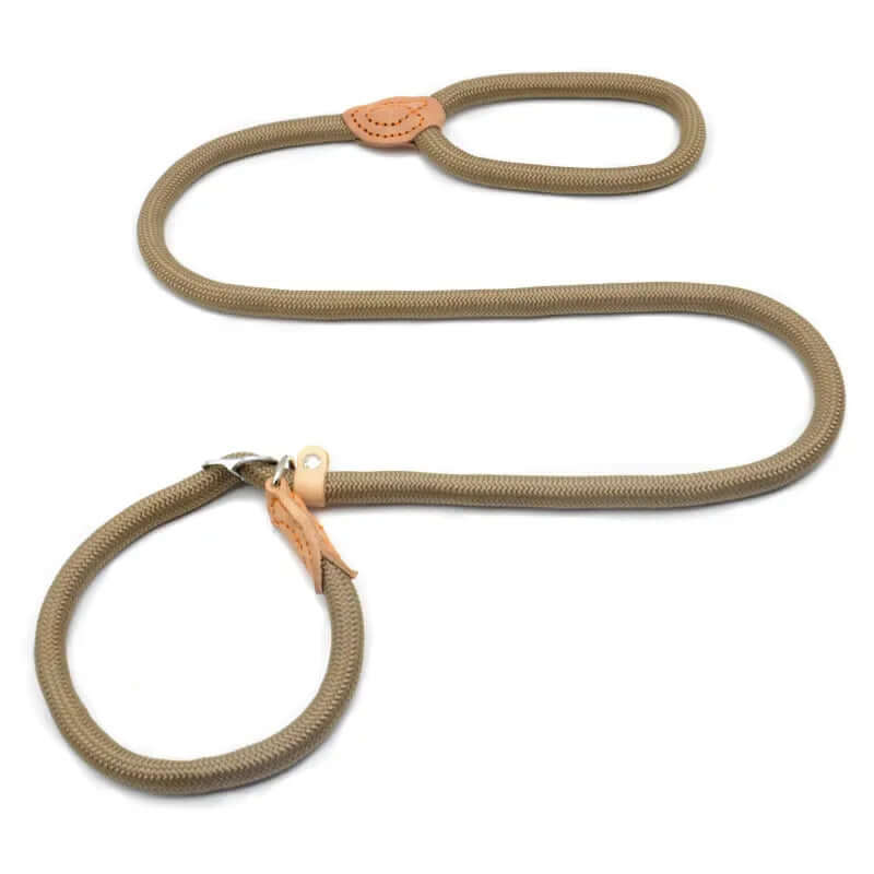 Brown dog leash with leather loops on a white background