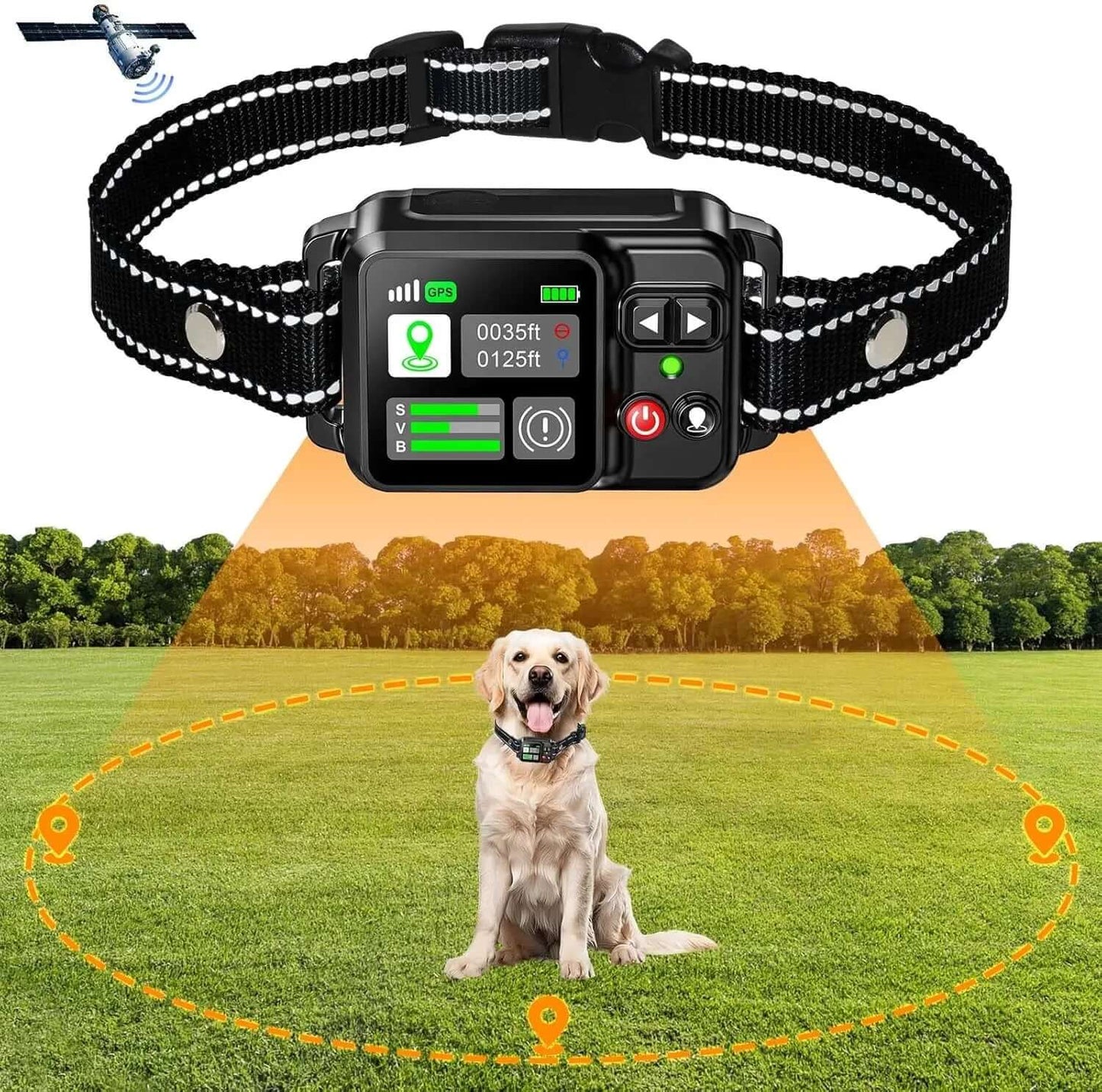 Dog collar with electronic device on a grassy field with trees in the background