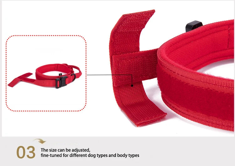 Red dog collar with adjustable strap on a white background