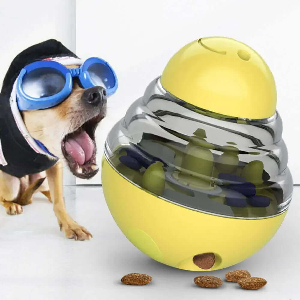 Dog wearing goggles with a yellow and silver puzzle toy