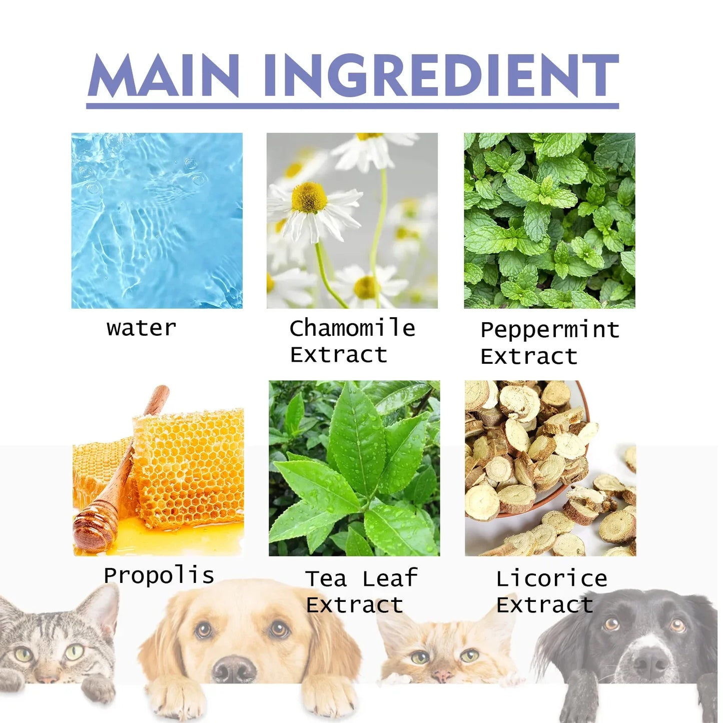 List of main ingredients with corresponding images and labels on a white background.