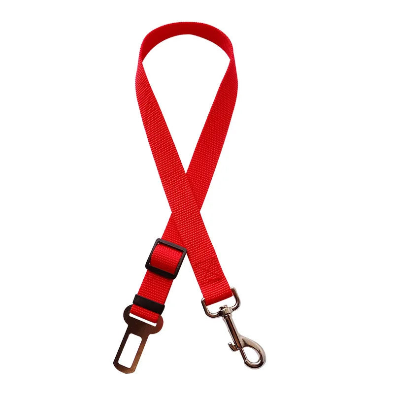 Red dog leash with metal clip and leather loop on a white background