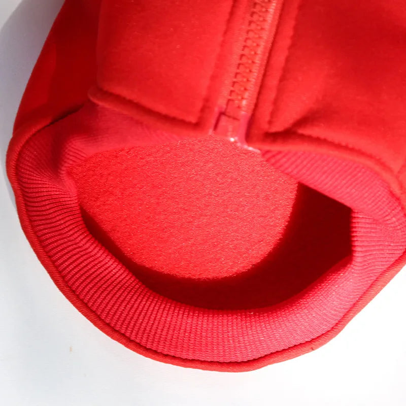 Close-up of a red shoe with a white background