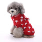Small dog wearing a red sweater with white star patterns on a white background