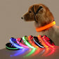 Dog wearing a glowing orange collar with colorful collars displayed in front on a reflective surface.