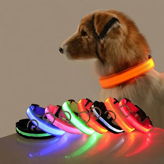 Dog wearing a glowing orange collar with colorful collars displayed in front on a reflective surface.
