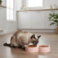 Cat Bowls Double Food Water Feeder Non-Slip Pet Feeding Dish Durable Pet Supplies