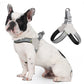 Harnesses | Reflective No-Pull Dog & Cat Harness for Small & Medium Pets