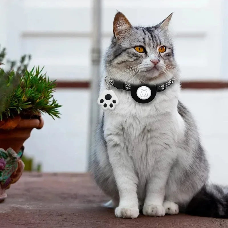 Cat wearing a collar with a tag, sitting on a wooden surface with plants in the background