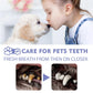 Child kissing a puppy with text about pet tooth care and fresh breath.