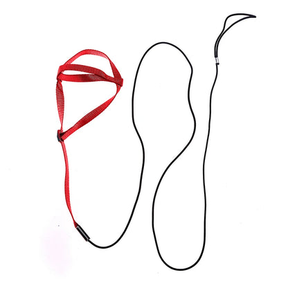 Red dog harness and black leash on a white background