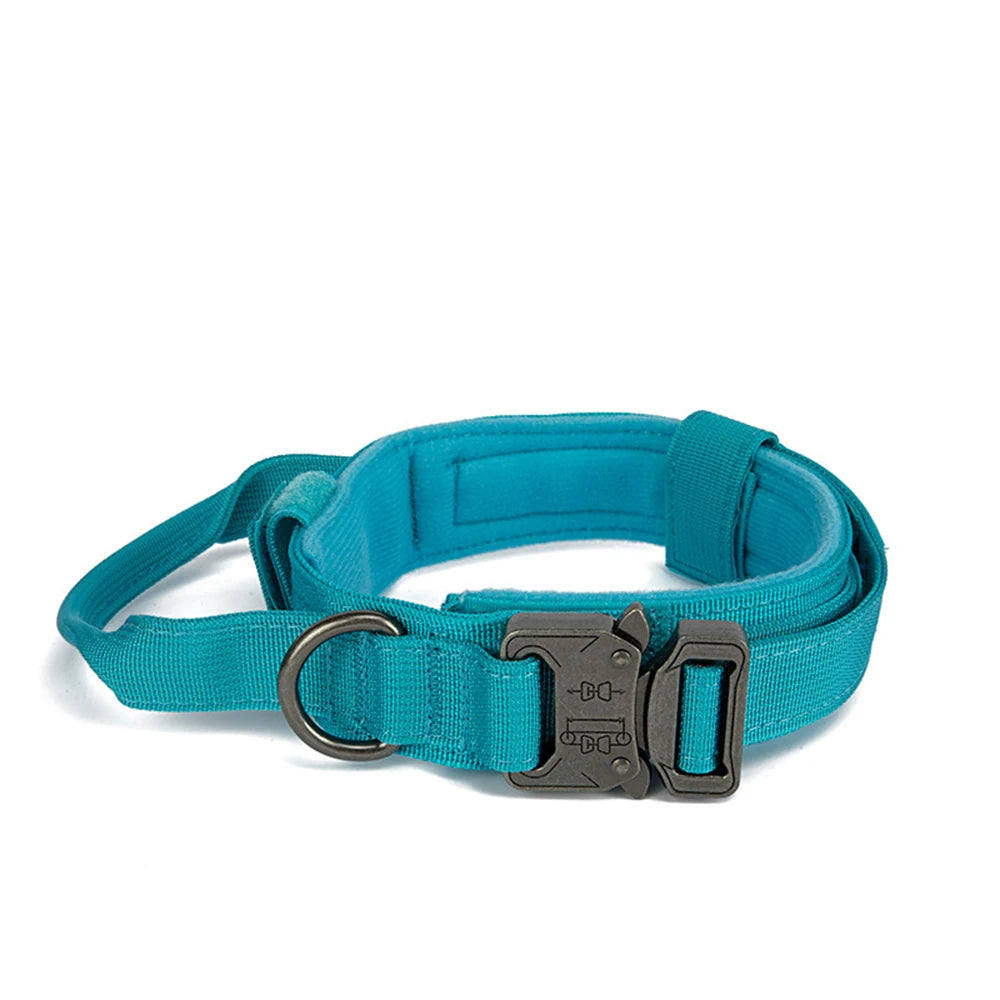 Teal dog collar with a black buckle on a white background