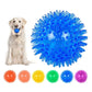 Dog playing with a blue spiky ball and additional color options displayed below.