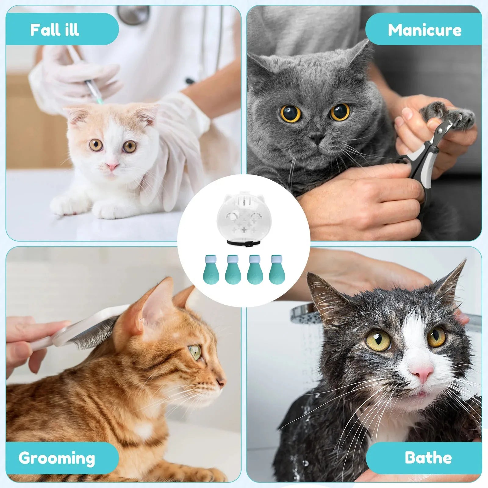 Collage of a cat being groomed, bathed, and having its nails trimmed with text labels on each image.