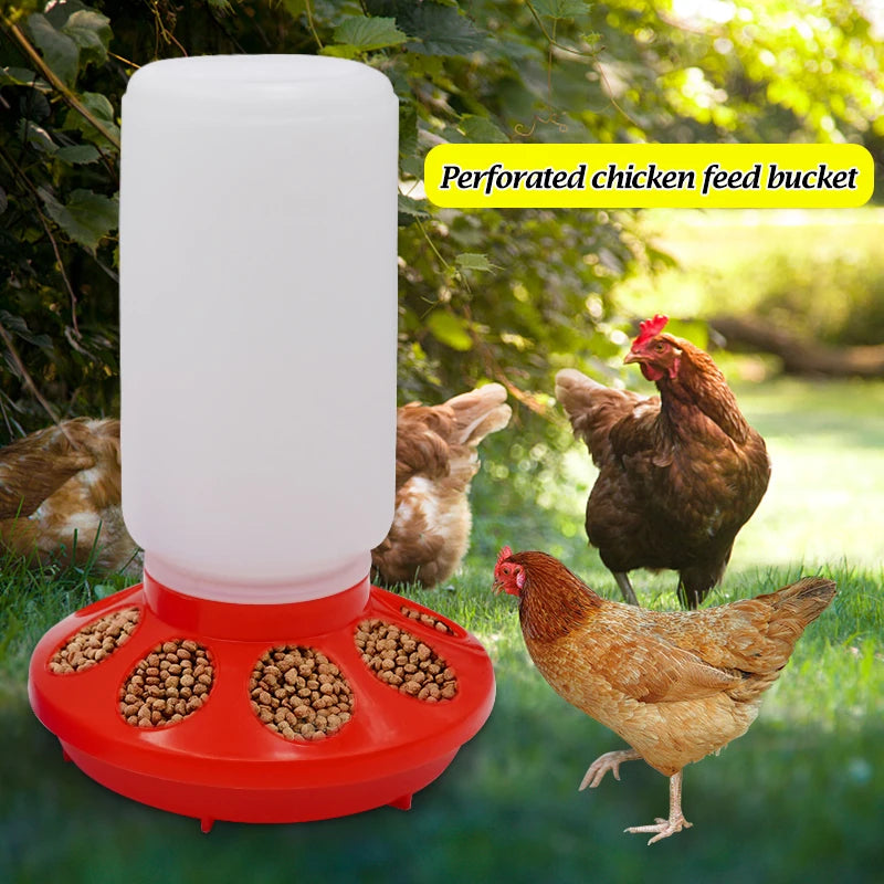 Perforated chicken feed bucket with chickens in a natural setting