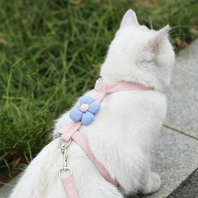 White cat wearing a pink harness with a blue flower attachment on a grassy background