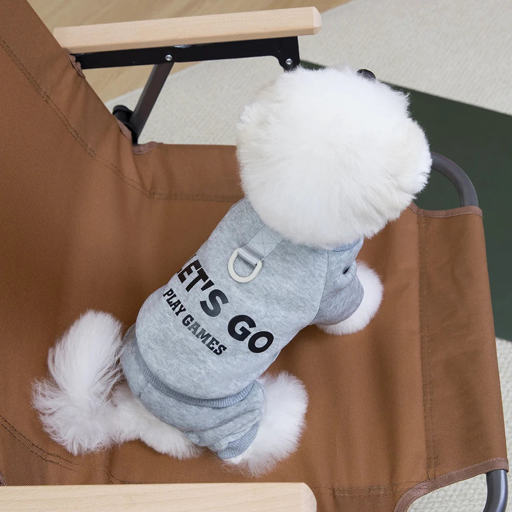 Small white dog wearing a gray sweater with text, sitting on a brown chair.