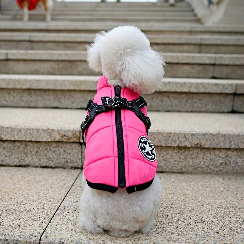 Small dog wearing a pink puffer coat with a brand logo on steps.
