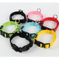 Set of colorful dog collars with black buckles on a white background