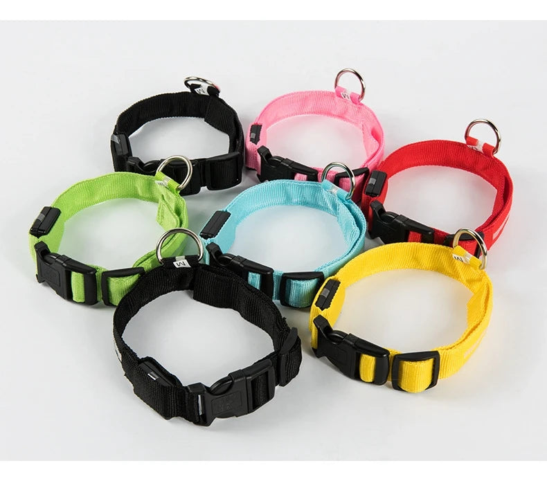 Set of colorful dog collars with black buckles on a white background