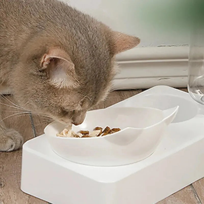 Cat eating from a white bowl on a wooden floor