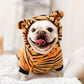 Dog wearing a tiger costume on a white background