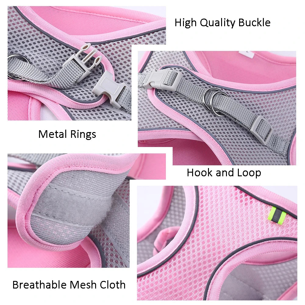 Collage of pink and gray dog harness with labeled features on a white background