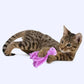 Cat playing with a pink toy on a white background