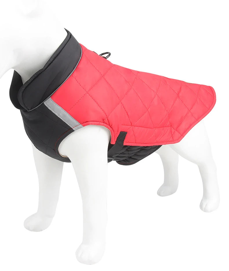 Red quilted dog coat with black trim on a white background