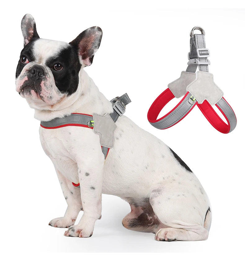 Harnesses | Reflective No-Pull Dog & Cat Harness for Small & Medium Pets