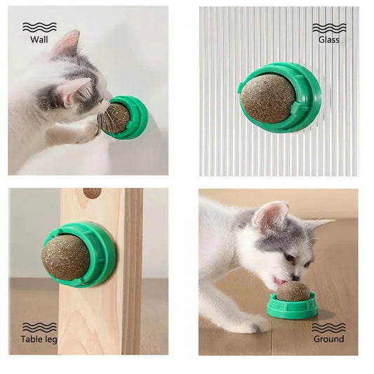 Cat using a green pet feeder on various surfaces including wall, glass, table leg, and ground.