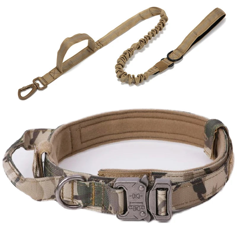 Camouflage dog collar with bungee leash on a white background