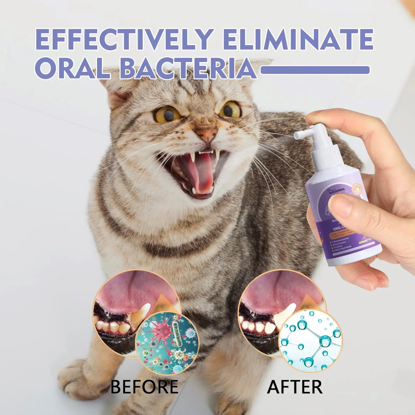 Cat with open mouth, hand holding a bottle labeled 'Effectively Eliminate Oral Bacteria', before and after images of dental care.