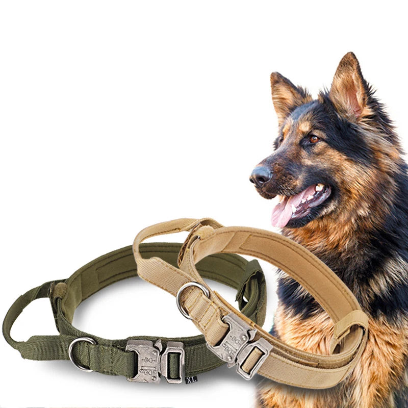Two dog collars, one green and one beige, with a German Shepherd dog in the background.