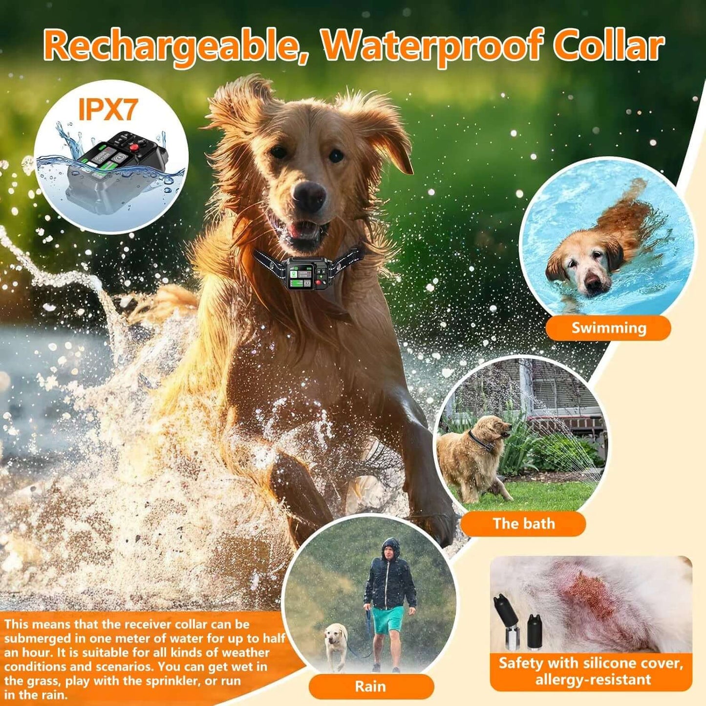 Dog running in water wearing a rechargeable, waterproof collar with features highlighted.